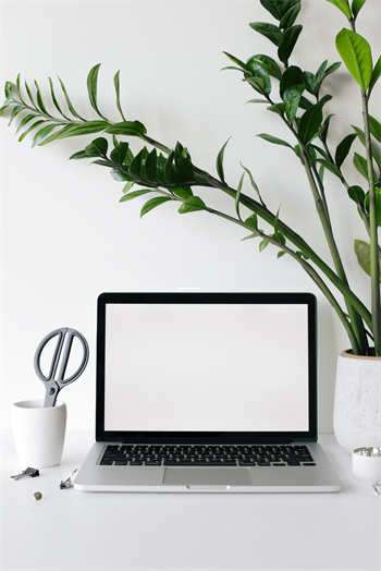 天涯社区里的化恒子：那些年我们聊过的趣事 第1张